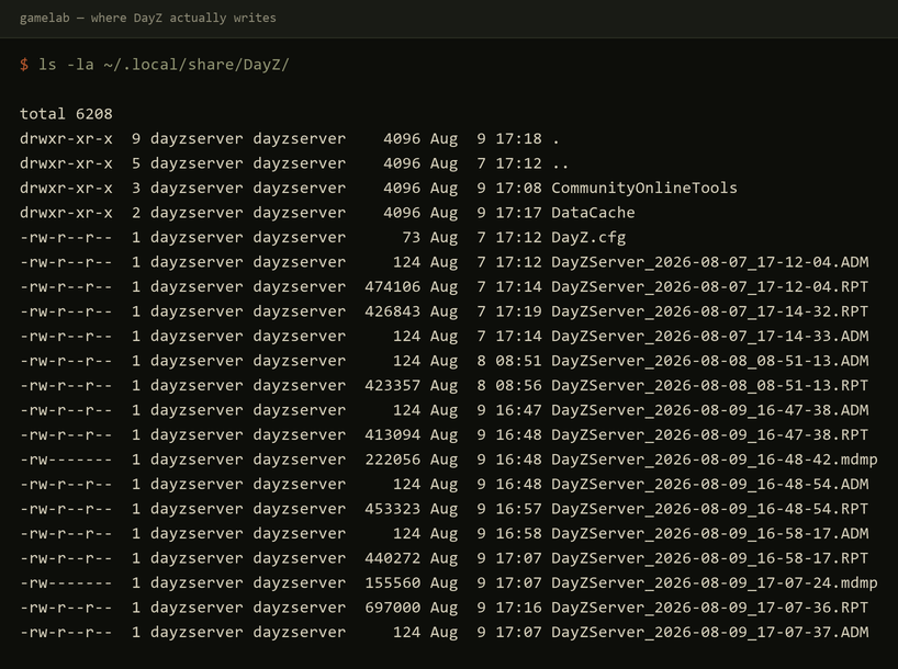 The hidden DayZ profile directory listing showing RPT, ADM, mdmp and crash files