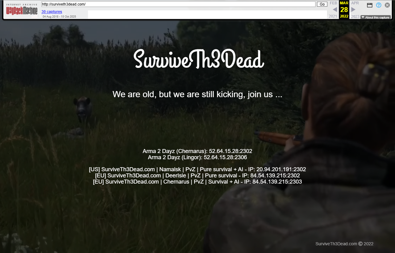 We Ran a DayZ Mod Server for Ten Years. It Never Shut Down.