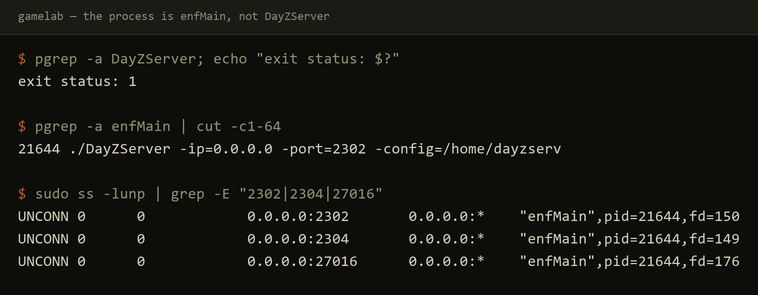 pgrep DayZServer exits 1 while pgrep enfMain finds the process, and ss shows the three bound UDP ports