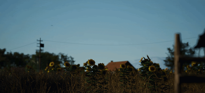 SCUM (official Steam media)